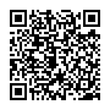 QR code for V866739