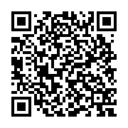 QR code for V90336