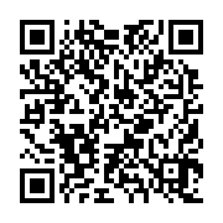 QR code for V91307