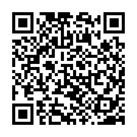 QR code for V91338