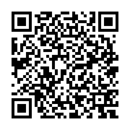 QR code for V916731
