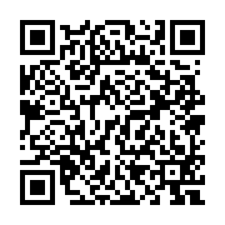 QR code for V917938