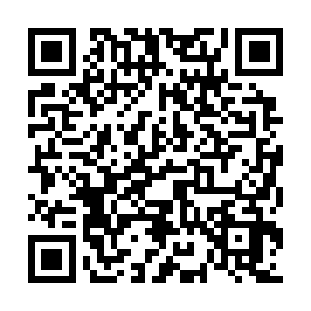 QR code for V923325