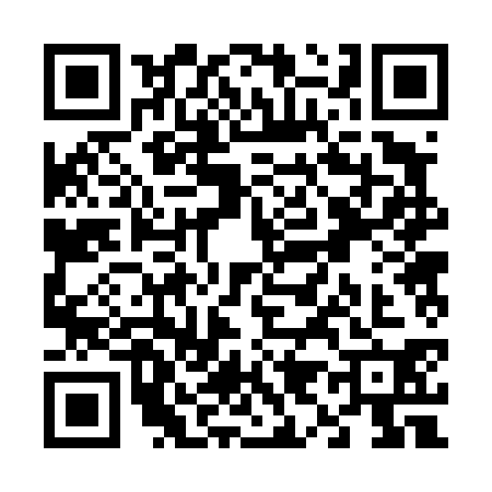 QR code for V924303