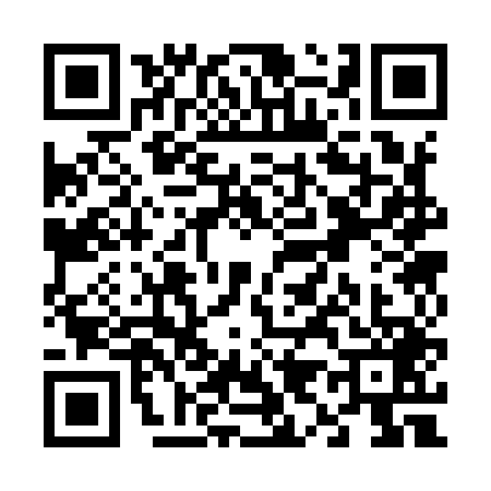QR code for V939493