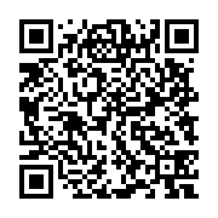 QR code for V94538