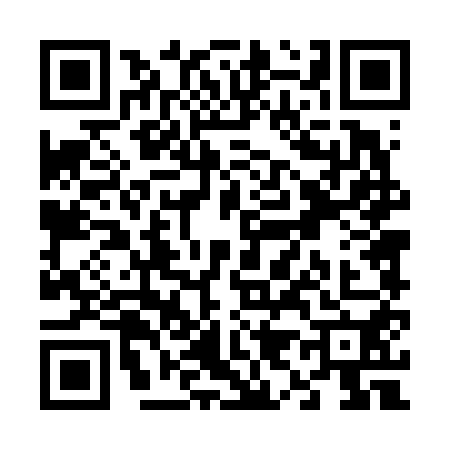 QR code for V946507