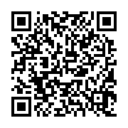 QR code for V95306
