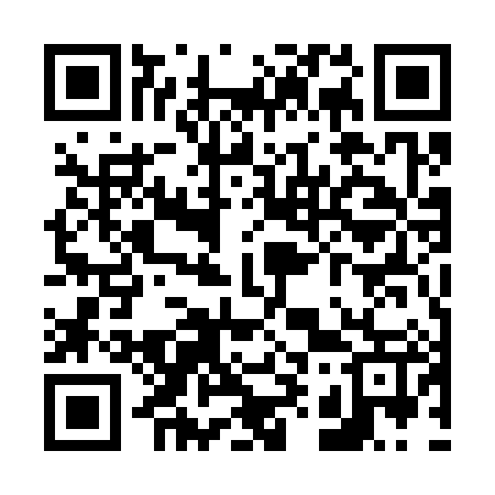 QR code for V95387