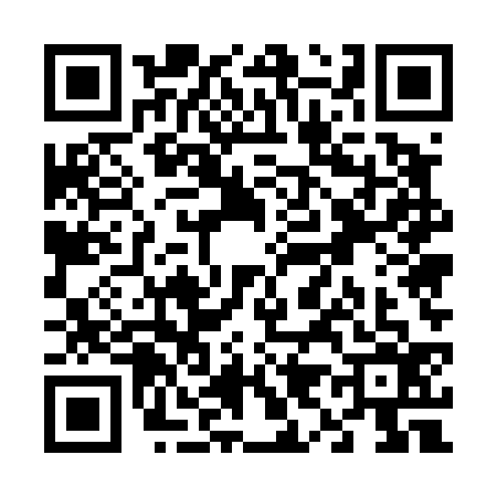 QR code for V954369