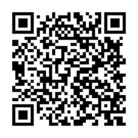 QR code for V95804