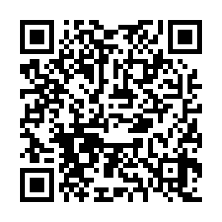 QR code for V96038