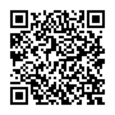 QR code for V991273
