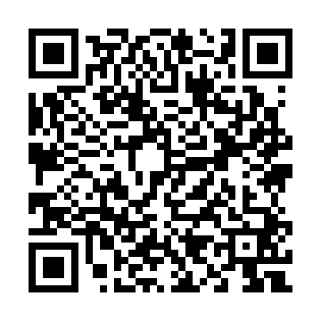 QR code for V993407
