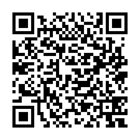 QR code for VA13395