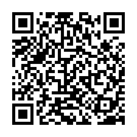 QR code for VA3919