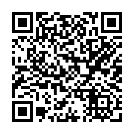 QR code for VA9393