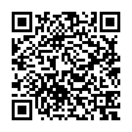 QR code for VD38382