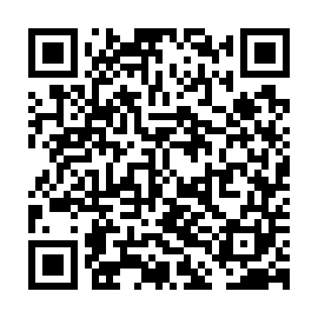 QR code for VDG741