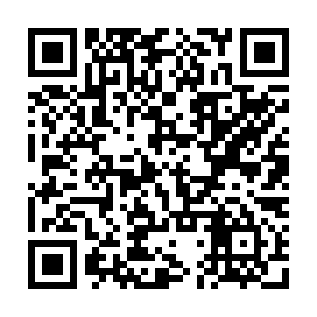 QR code for VDV295