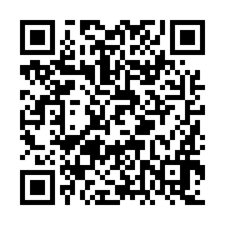 QR code for VDZ596