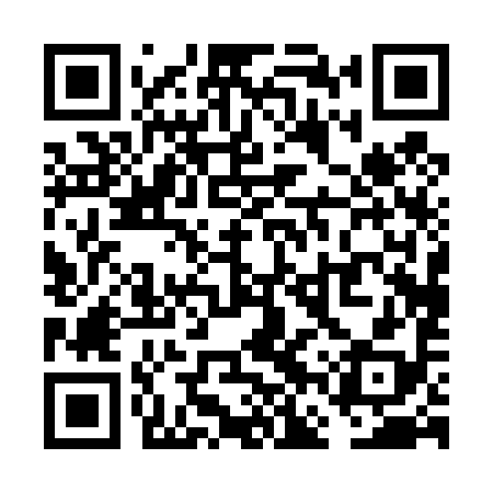 QR code for VFP498