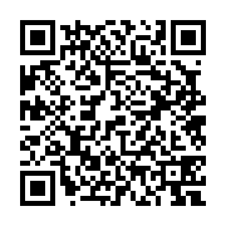 QR code for VG20382