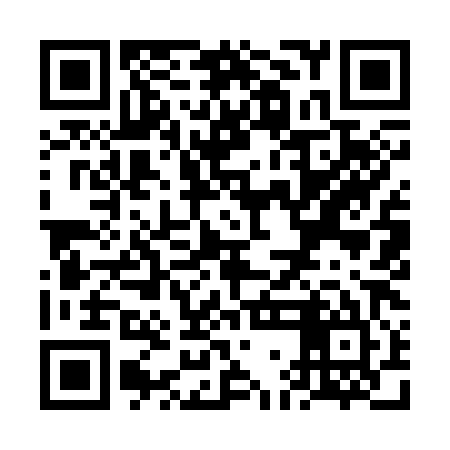 QR code for VGI385