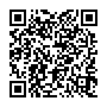 QR code for VGL313
