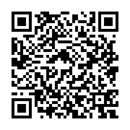 QR code for VI81316