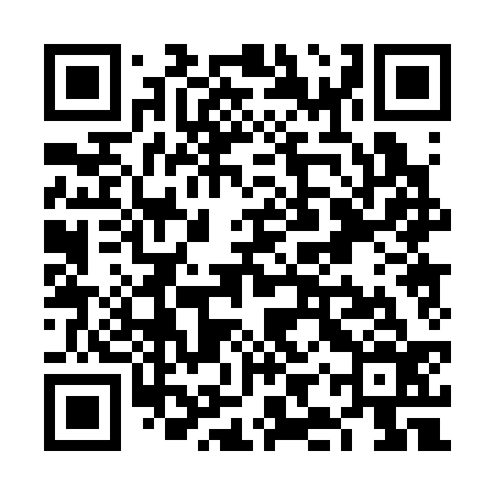 QR code for VIP336