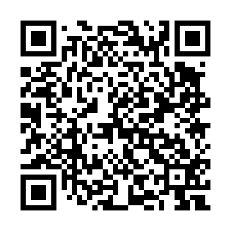 QR code for VIQ413