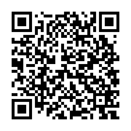 QR code for VIV369