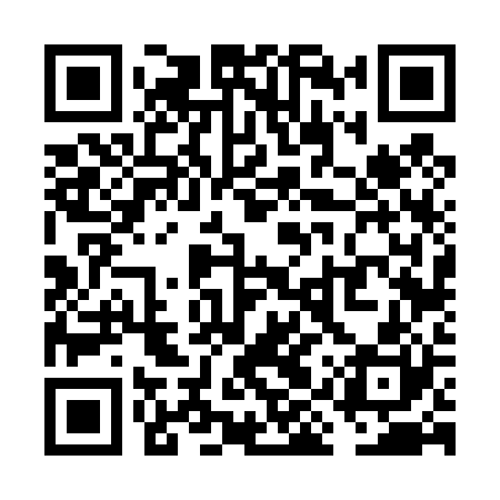 QR code for VIV420