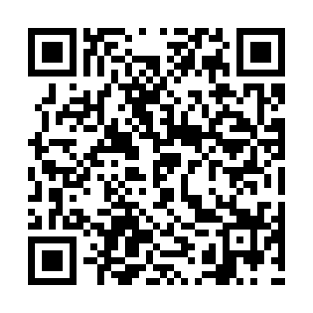 QR code for VIZ339