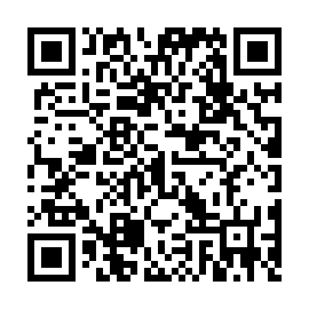 QR code for VIZ876