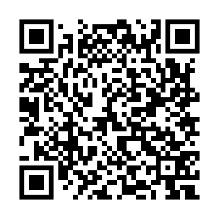 QR code for VIZ973