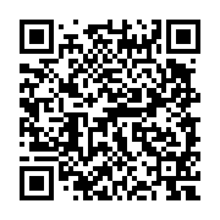 QR code for VJT494