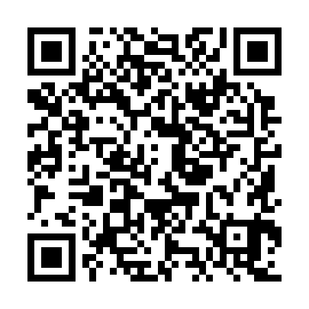 QR code for VKI381