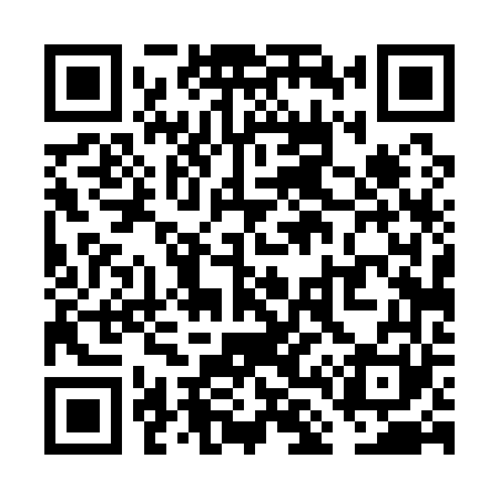 QR code for VL4161