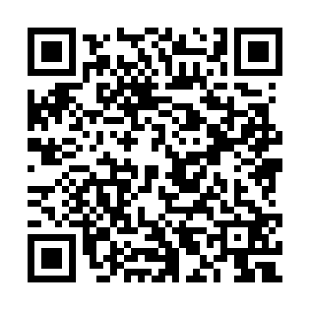 QR code for VL87228