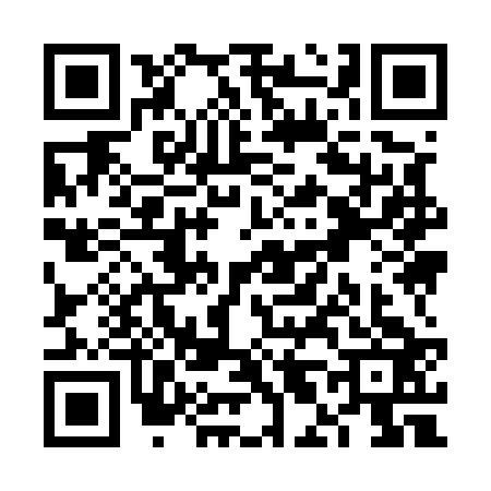 QR code for VL95234