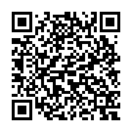 QR code for VN0336