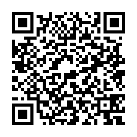 QR code for VN05384