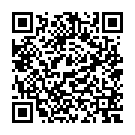 QR code for VN17405