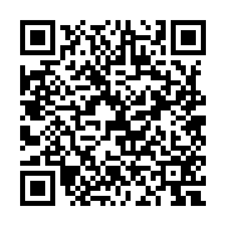 QR code for VN29562