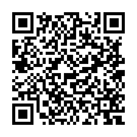 QR code for VN38579