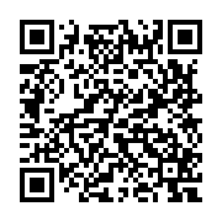 QR code for VN3905