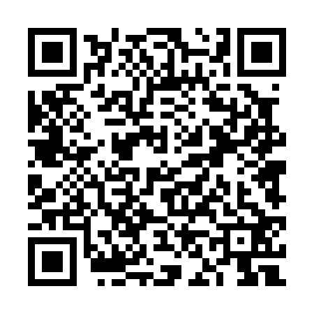 QR code for VN40226
