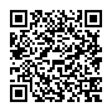 QR code for VN88383